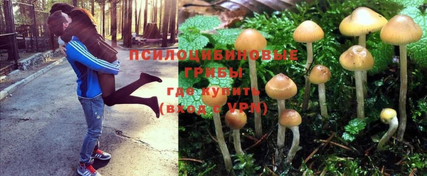 гидропоника Бронницы