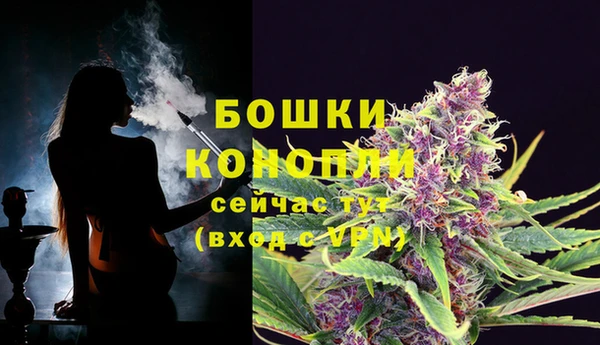 гидропоника Бронницы