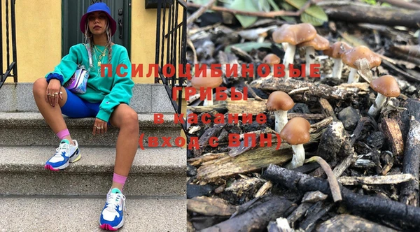 гидропоника Бронницы