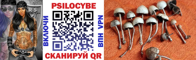 Псилоцибиновые грибы ЛСД  Кирс 